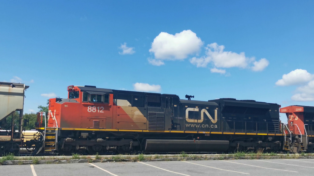 CN 8812